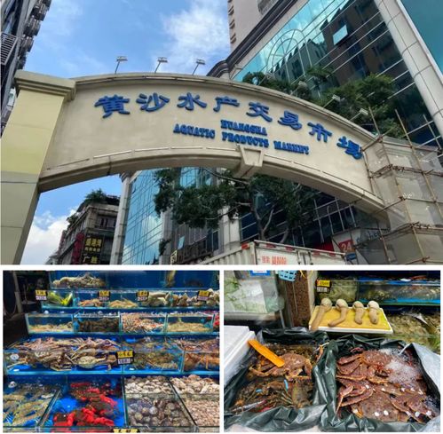 做對三件事,廣東勇創13萬億