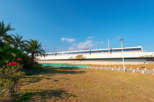 等一個人 陪我去廈門